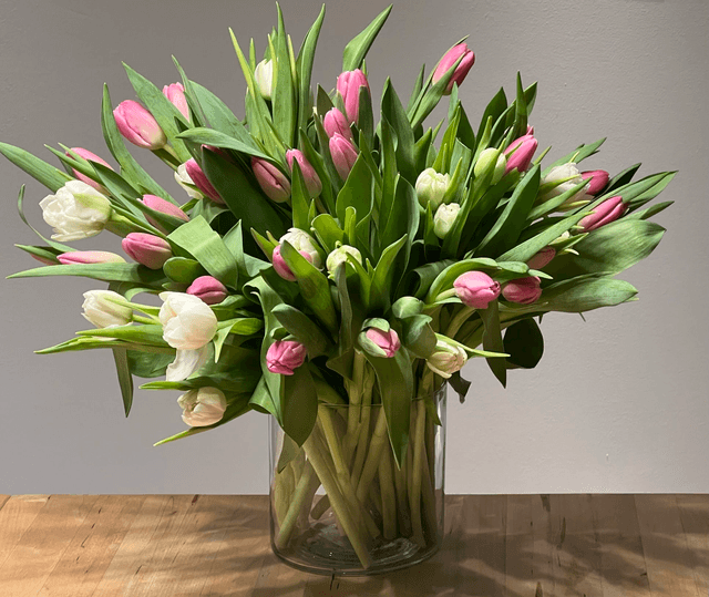 Tulpen Total (55 Stück) inkl. Glasvase